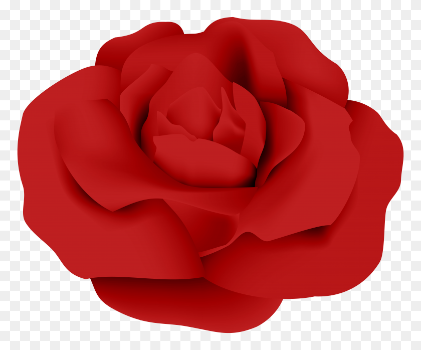 8000x6546 Png Красная Роза
