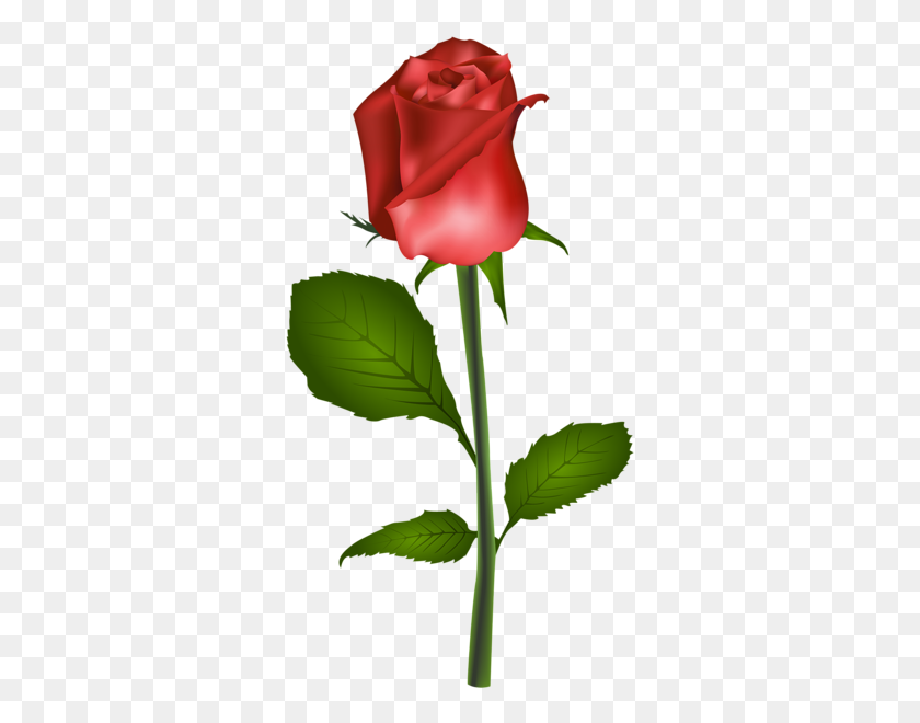 323x600 Red Rose Transparent Clip Art Image Florals Art - Single Rose Clipart