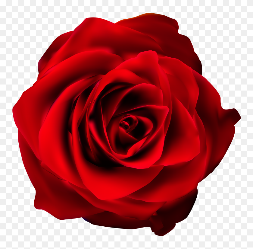 3000x2943 Png Красная Роза Клипарт