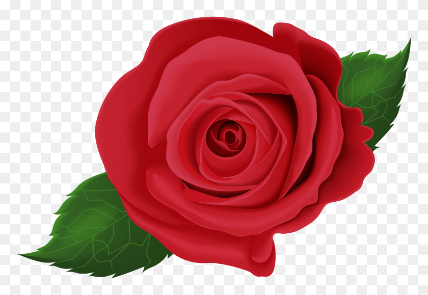 8000x5329 Red Rose With Leaves Png Clip Art - Tea Leaves Clipart