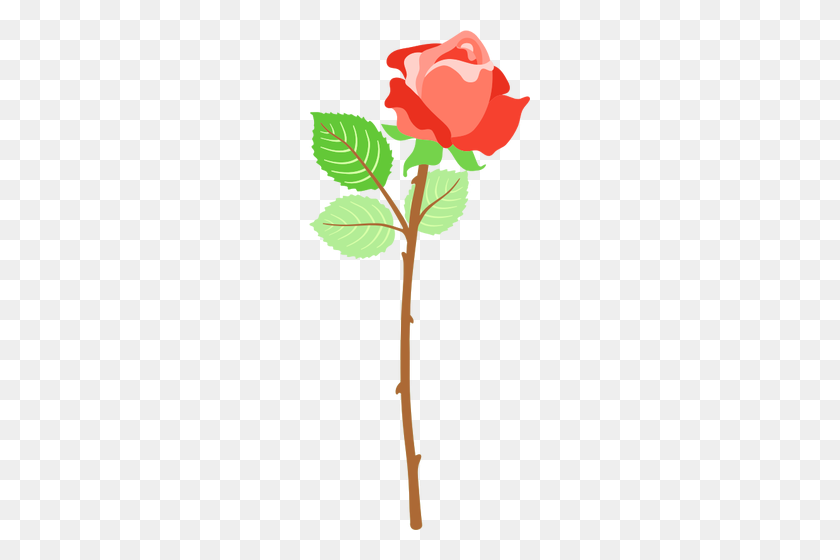 221x500 Red Rose With Thorns - Rose With Thorns Clipart