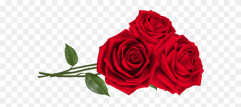 600x312 Красные Розы - Росас Png