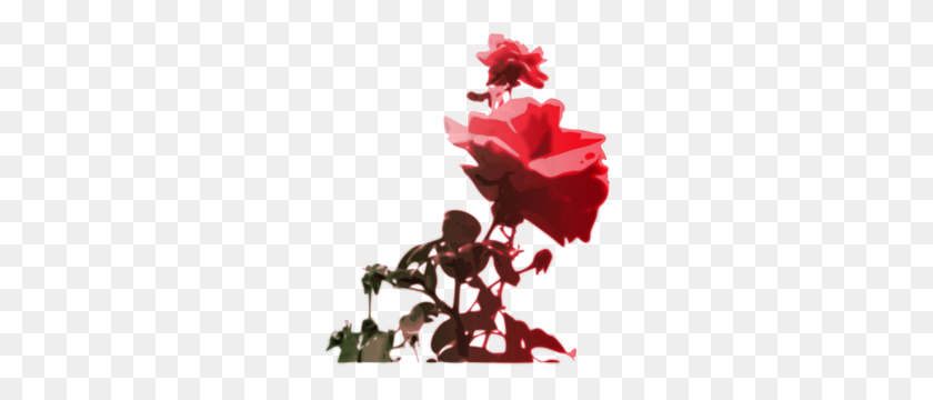 258x300 Красные Розы Цветут Картинки - Цветущий Цветок Клипарт