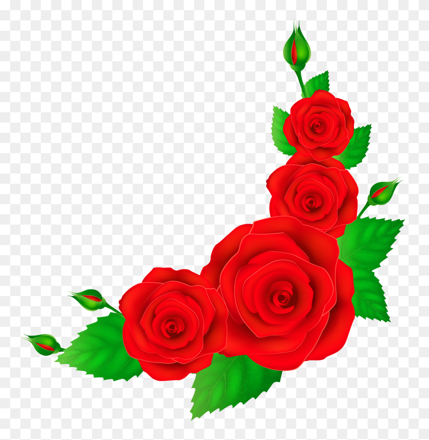 5518x5674 Красные Розы В Углу Png Клипарт - Уголок Цветы В Png