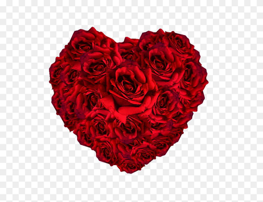 800x600 Red Roses Heart Png - Vintage Texture PNG