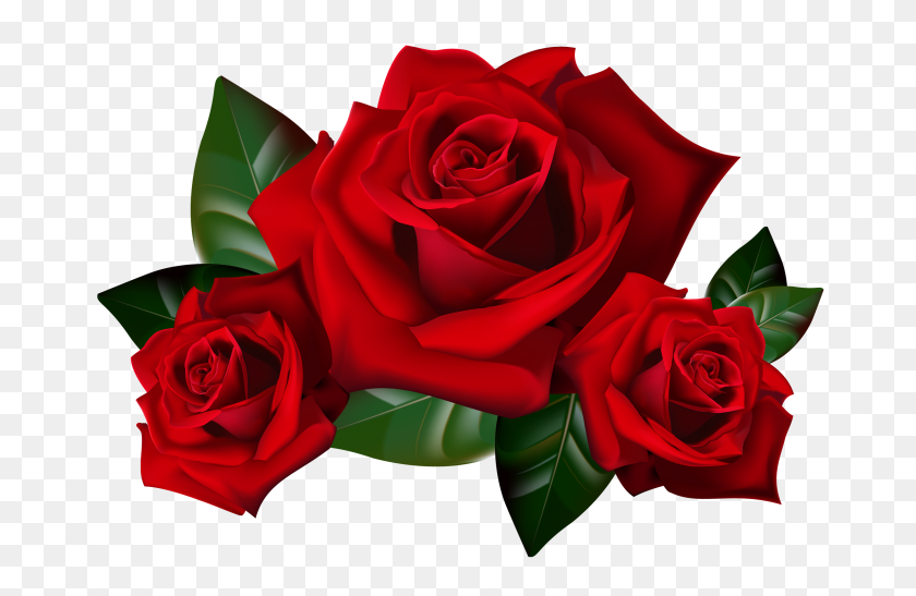 2880x1800 Красные Розы Png Клипарт Картинка Hd Обои Для Рабочего Стола Широкоформатные - Png Обои