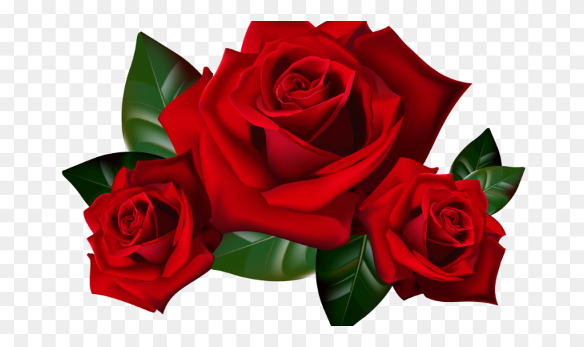 915x515 Красные Розы Png Клипарт Картинка Hd Широкоформатные Обои Для Рабочего Стола - Лепесток Роз В Png