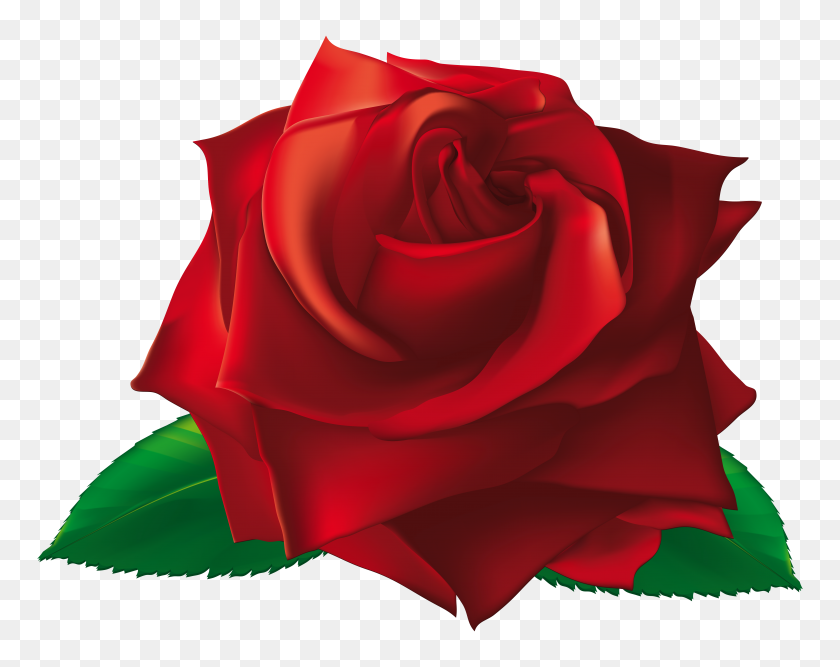 5942x4628 Red Single Rose Png Clipart - Single Flower PNG