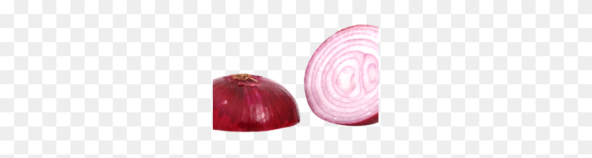 235x165 Red Sliced Onion Png Image Png Transparent Best Stock Photos - Onion PNG