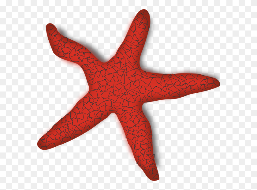 600x563 Красная Морская Звезда Картинки - Морская Звезда Черно-Белый Клипарт