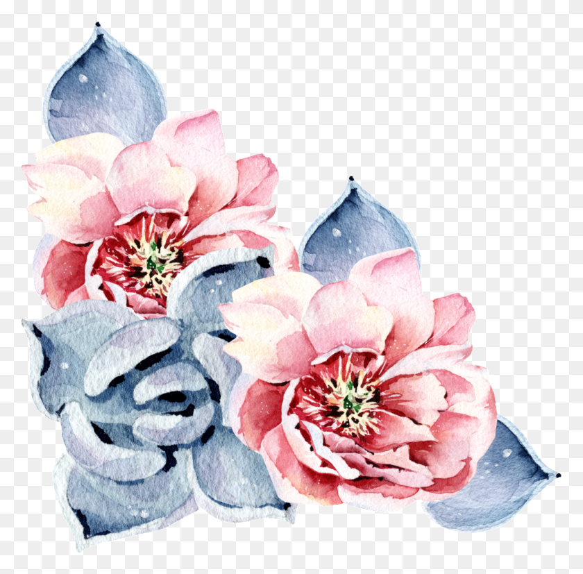 1024x1007 Red Succulent Flower Watercolor Hand Painted Transparent Free - Pink Watercolor Flowers PNG