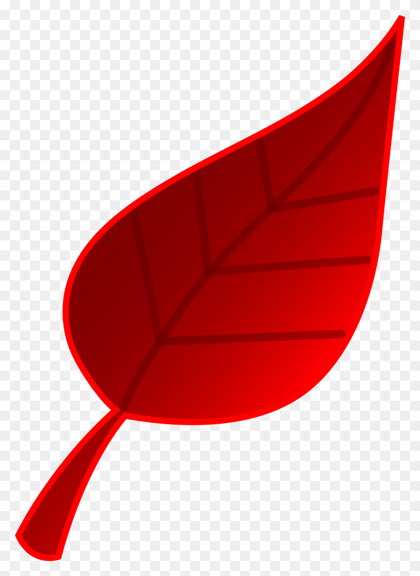2504x3500 Красный Лист Дерева Вектор Искусства - Листья Дерева Клипарт