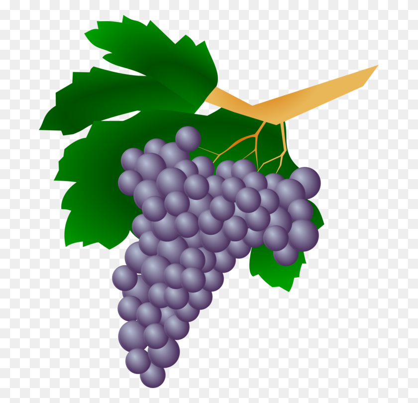 683x750 Red Wine Kyoho Straw Wine Grape - Wine Grapes Clipart