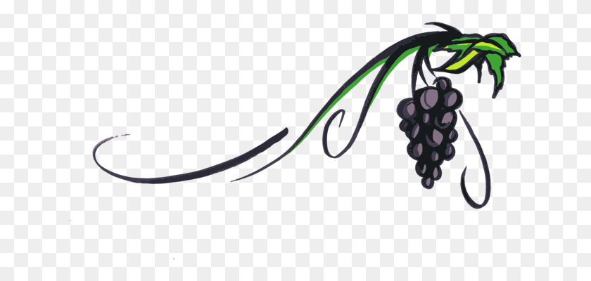 642x340 Red Wine Kyoho Straw Wine Grape - Grape Cluster Clipart