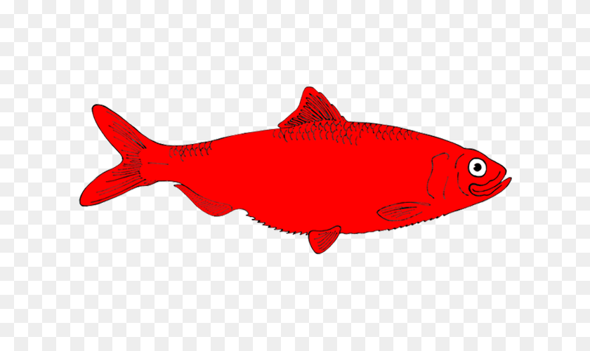 660x440 Redfish Clip Art - Seafood Clipart