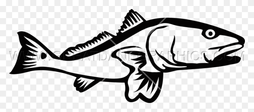 825x329 Redfish Production Ready Artwork For T Shirt Printing - Pulling Weeds Clipart