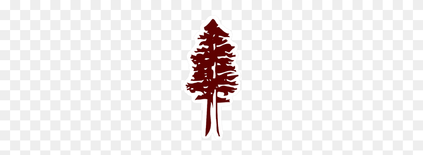 118x249 Redwood Tree Icono De La Etiqueta Engomada - Redwood Tree Png