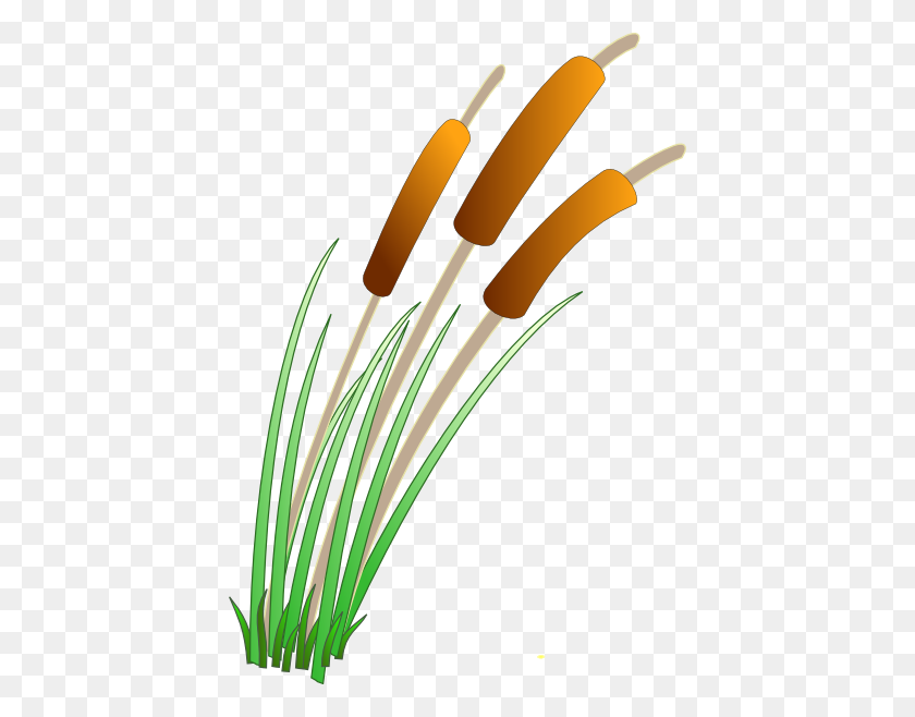 420x598 Reed Clipart Pond Plant - Pamphlet Clipart