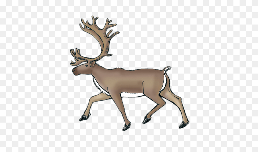 432x436 Reindeer - Caribou Clipart