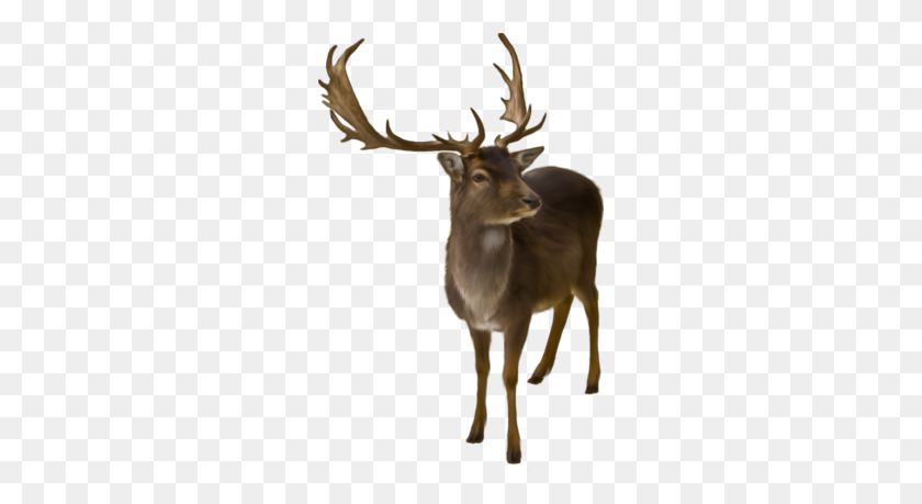 260x399 Reindeer Clip Art Clipart - Deer Horns Clipart