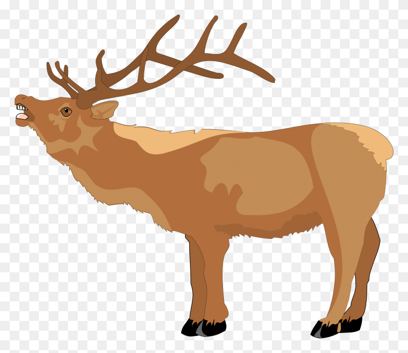 1969x1683 Reindeer Clip Art Free Clipart Images - Fawn Clipart