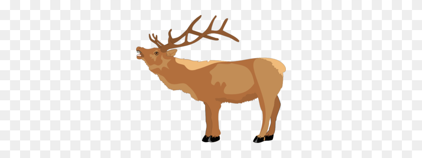 298x255 Reno Crash Png, Clipart For Web - Reno Antlers Clipart