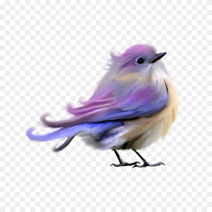 Related Image Cheryl's Clipart Arte - Pajaros PNG