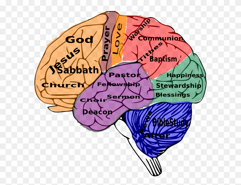 600x585 Religión En El Cerebro Clipart - Imágenes Prediseñadas Religiosas