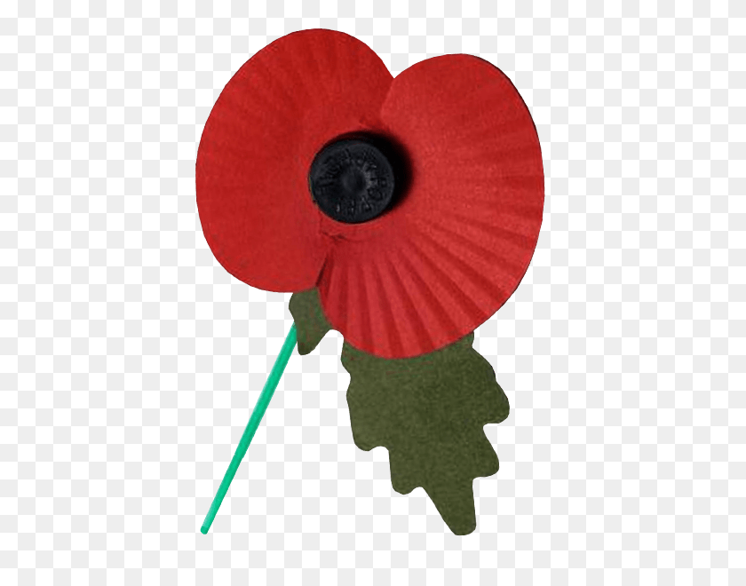 500x600 Remembrance Day Poppy Transparent Png - Poppy PNG