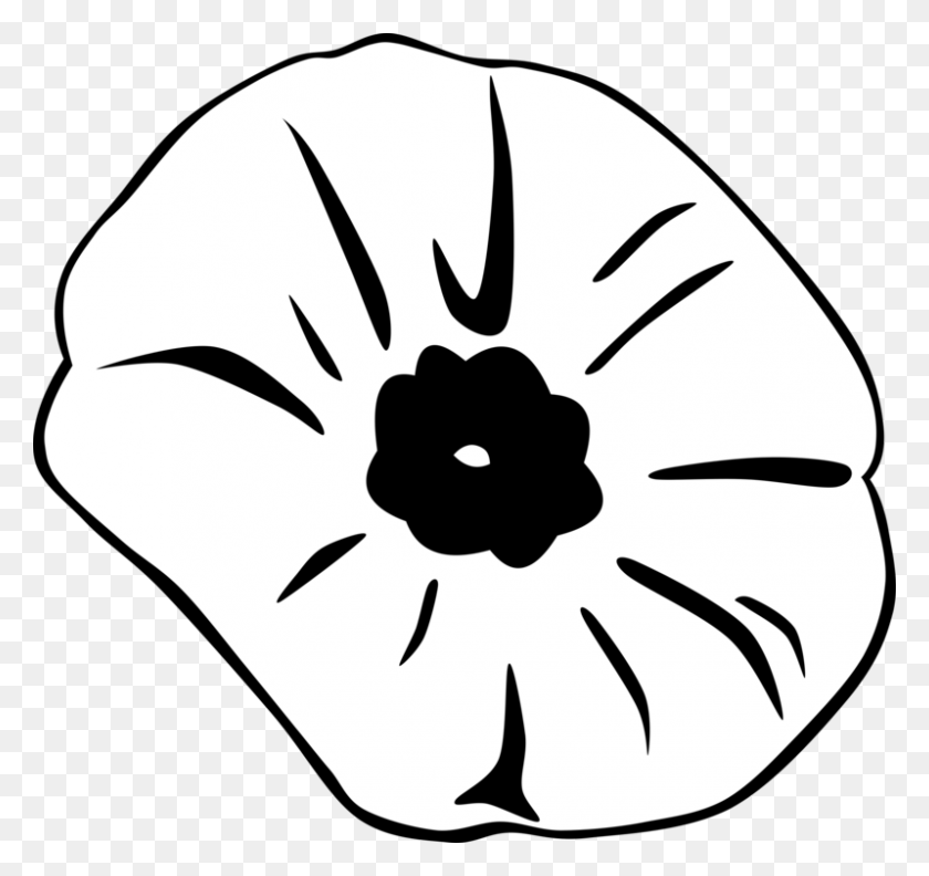 799x750 Remembrance Poppy Armistice Day White Poppy Memorial Day Free - Veterans Day Black And White Clipart