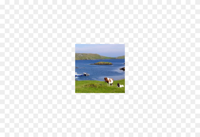 800x533 Отдаленный Фермерский Дом На Шетландских Островах - Ферма Png