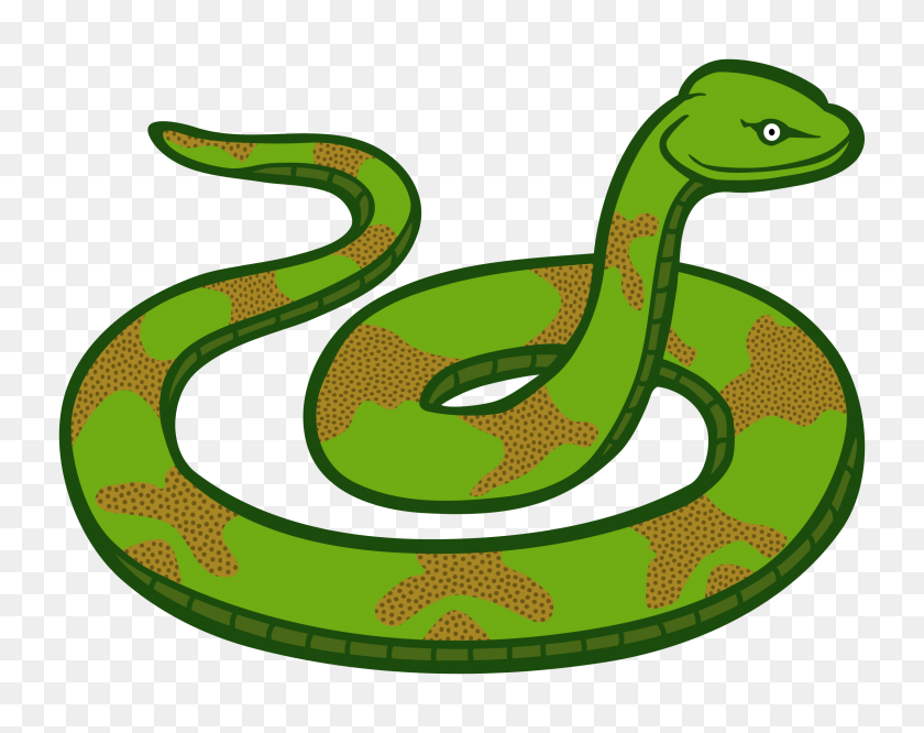 2400x1867 Reptil Clipart Serpiente Verde - Florida Gator Clipart