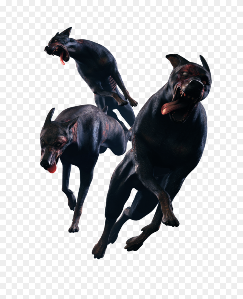800x1000 Resident Evil Dogs De Resident Evil - Resident Evil 7 Png