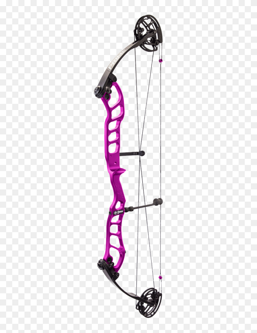 343x1030 Retail Store Michiana Archery Archery Equipment, Supplies - Archery PNG