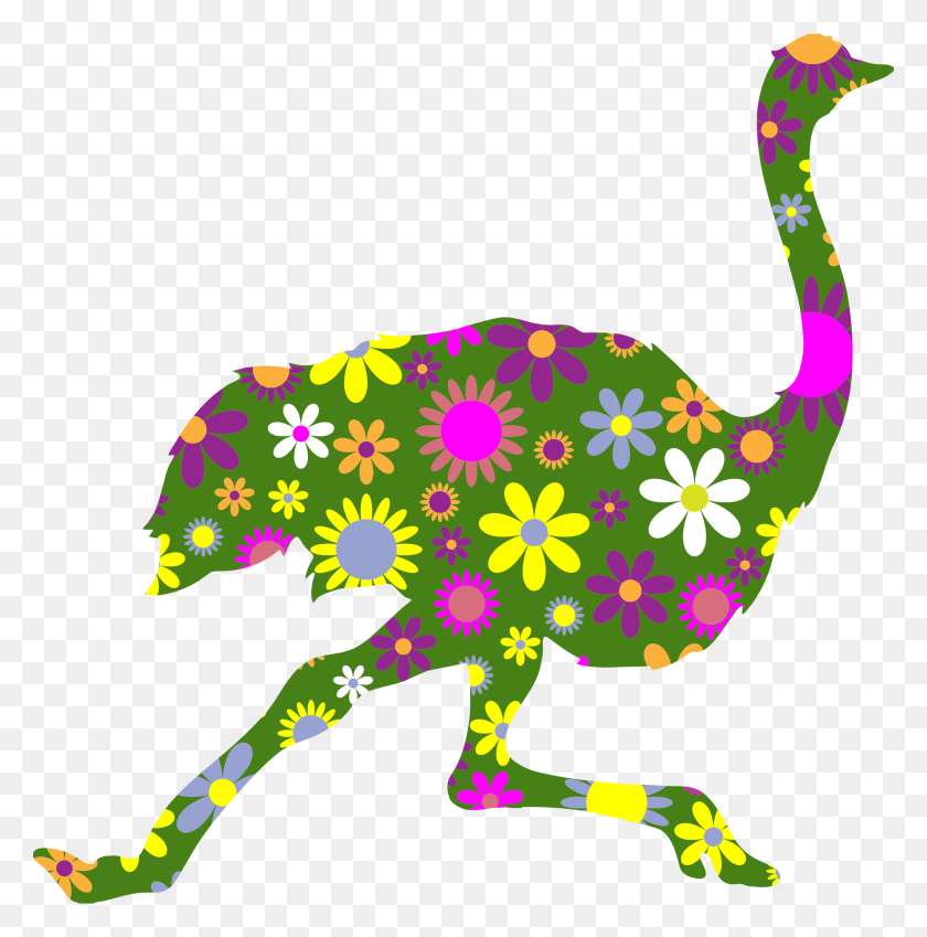2268x2296 Retro Floral Running Ostrich Icons Png - Ostrich PNG