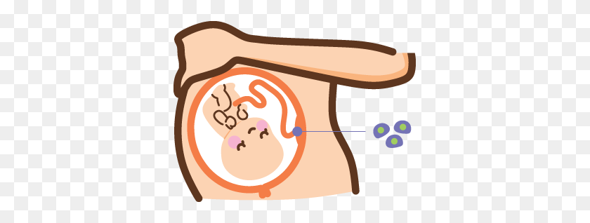 345x258 Reviva Cell - Baby In Womb Clipart