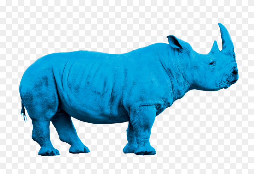 1200x796 Rhino Bleu Png - Rhino Png