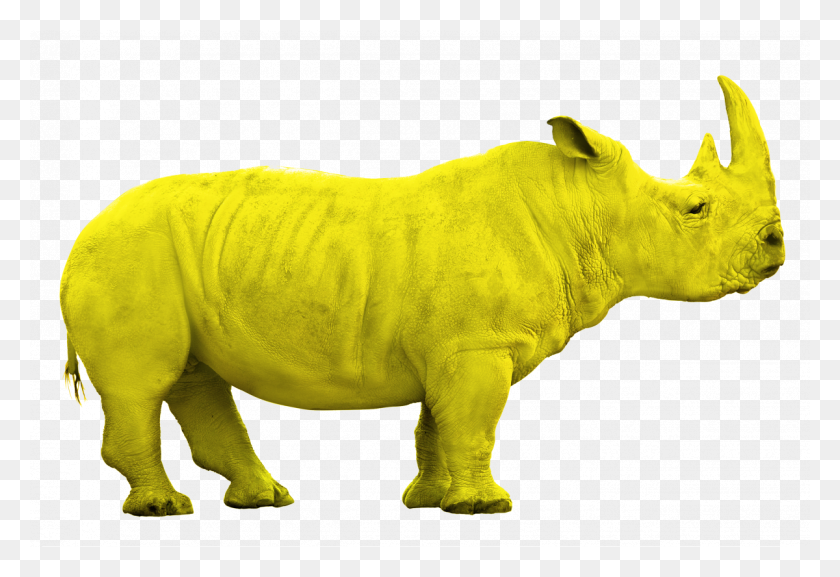 1200x796 Rhino Jaune Png - Rhino PNG