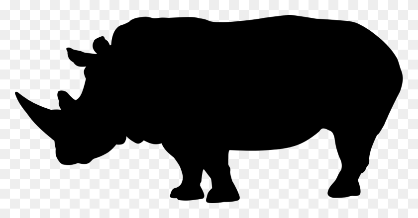 1280x623 Rinoceronte - Rhino Png