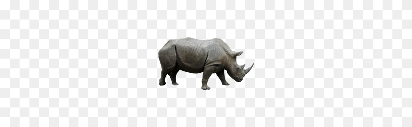 200x200 Rhinoceros Png Transparent Rhinoceros Images - Rhino PNG