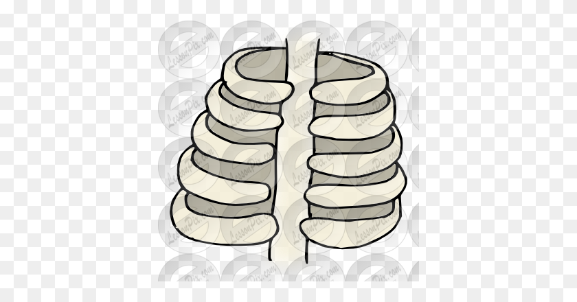 380x380 Ribs Picture For Classroom Therapy Use - Rib Cage Clipart