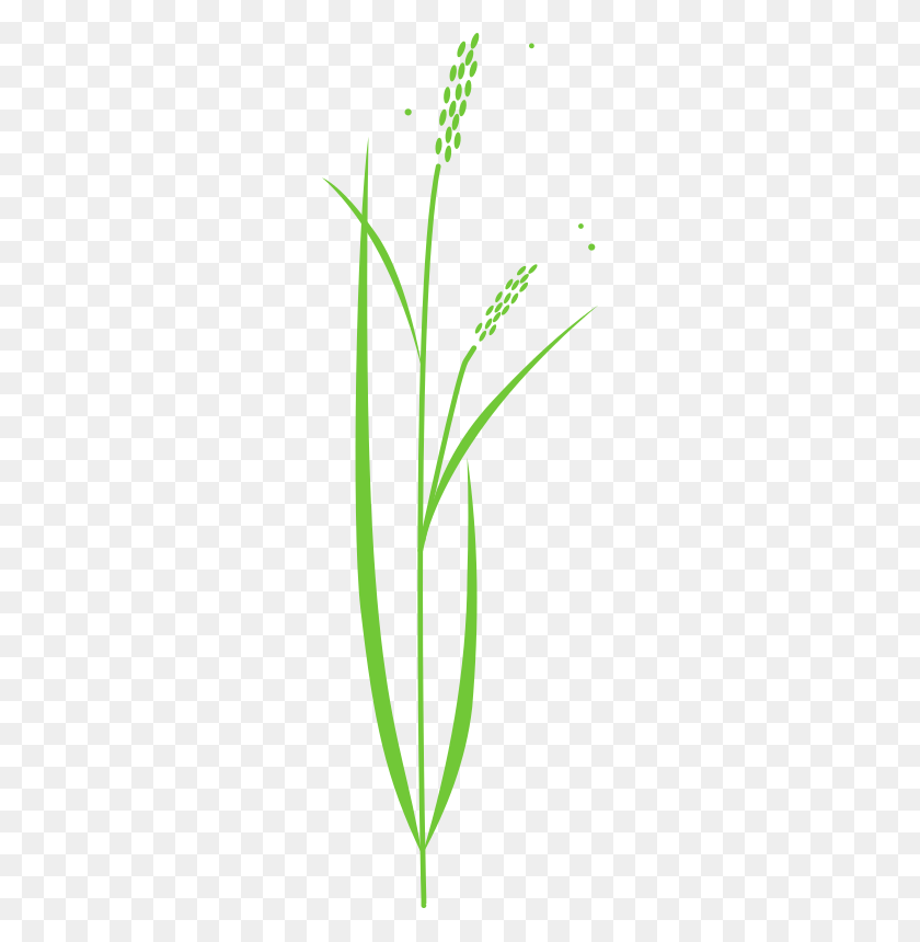 252x800 Rice Free Stock Clipart - Rice Bowl Clipart