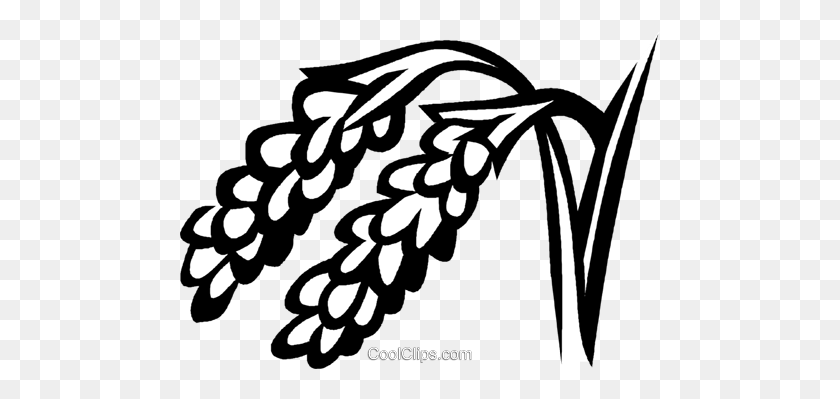 480x339 Rice Royalty Free Vector Clip Art Illustration - Rice Clipart Black And White
