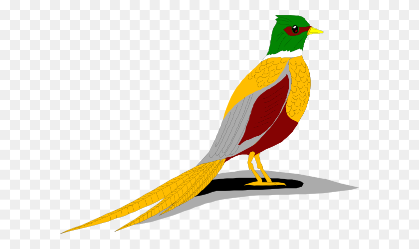 600x439 Ring Necked Pheasant Clip Arts Download - Roast Clipart