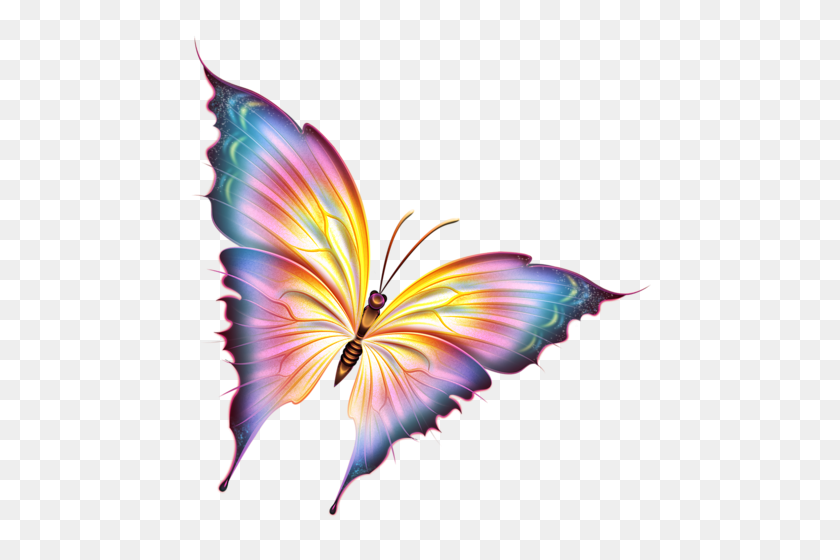 479x500 Рисованные Бабочки В Бабочке - Крылья Бабочки Клипарт