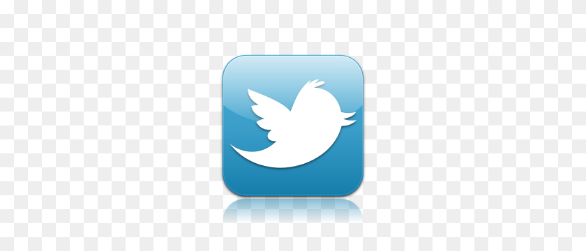 400x300 Riszyn Technology Products - Twitter Logo PNG Transparent Background