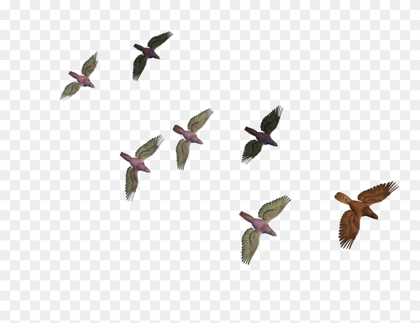 1024x768 Rj Edits Flying Birds Png - Flock Of Birds PNG