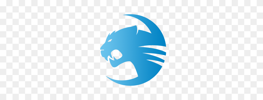 300x260 Roccat Signs Up Heroes Of The Storm Team - Heroes Of The Storm Logo PNG