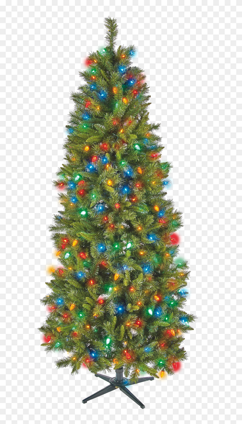 883x1600 Rockin' Around The Christmas Tree Lot Christmas Decor - Pine Tree Branch PNG
