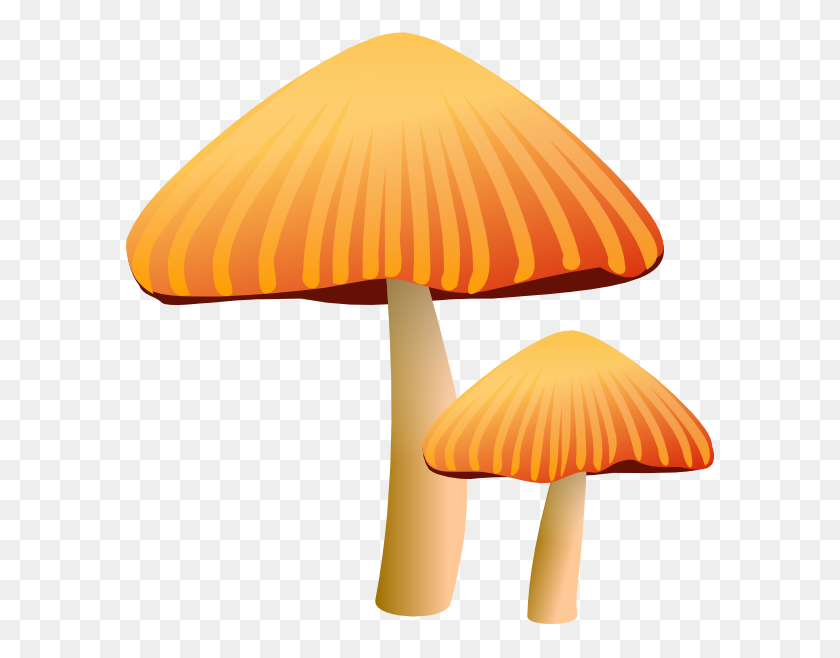 588x598 Rockraikar Orange Mushroom Clip Art Free Vector - Mushroom Clipart